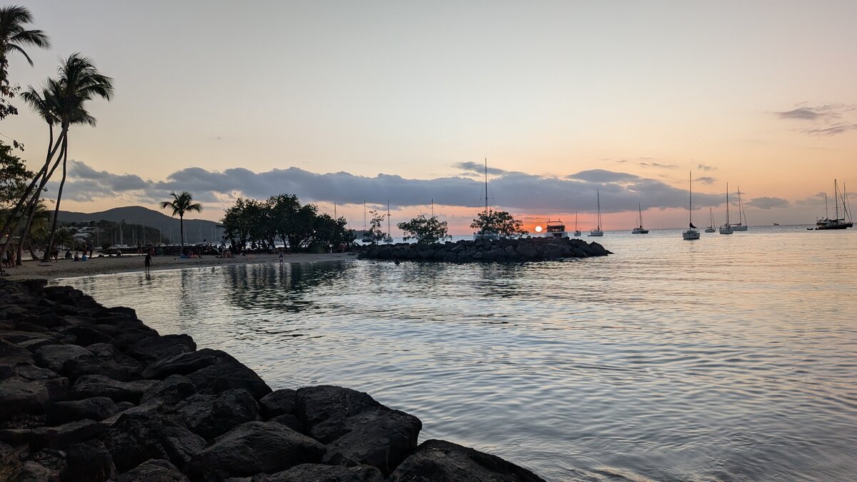 Madinina : l'île où l'amour et la mort fleurissent aussi