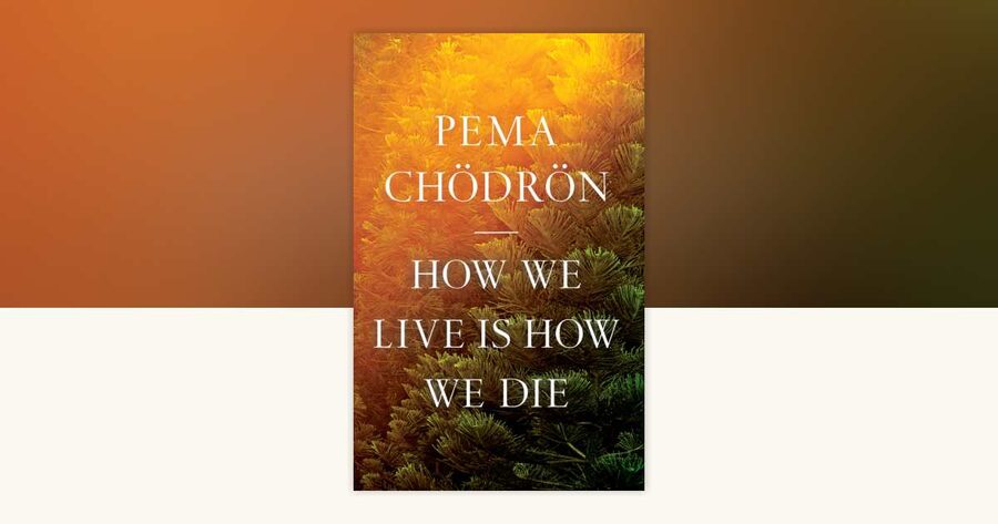 Couverture de How We Live Is How We Die